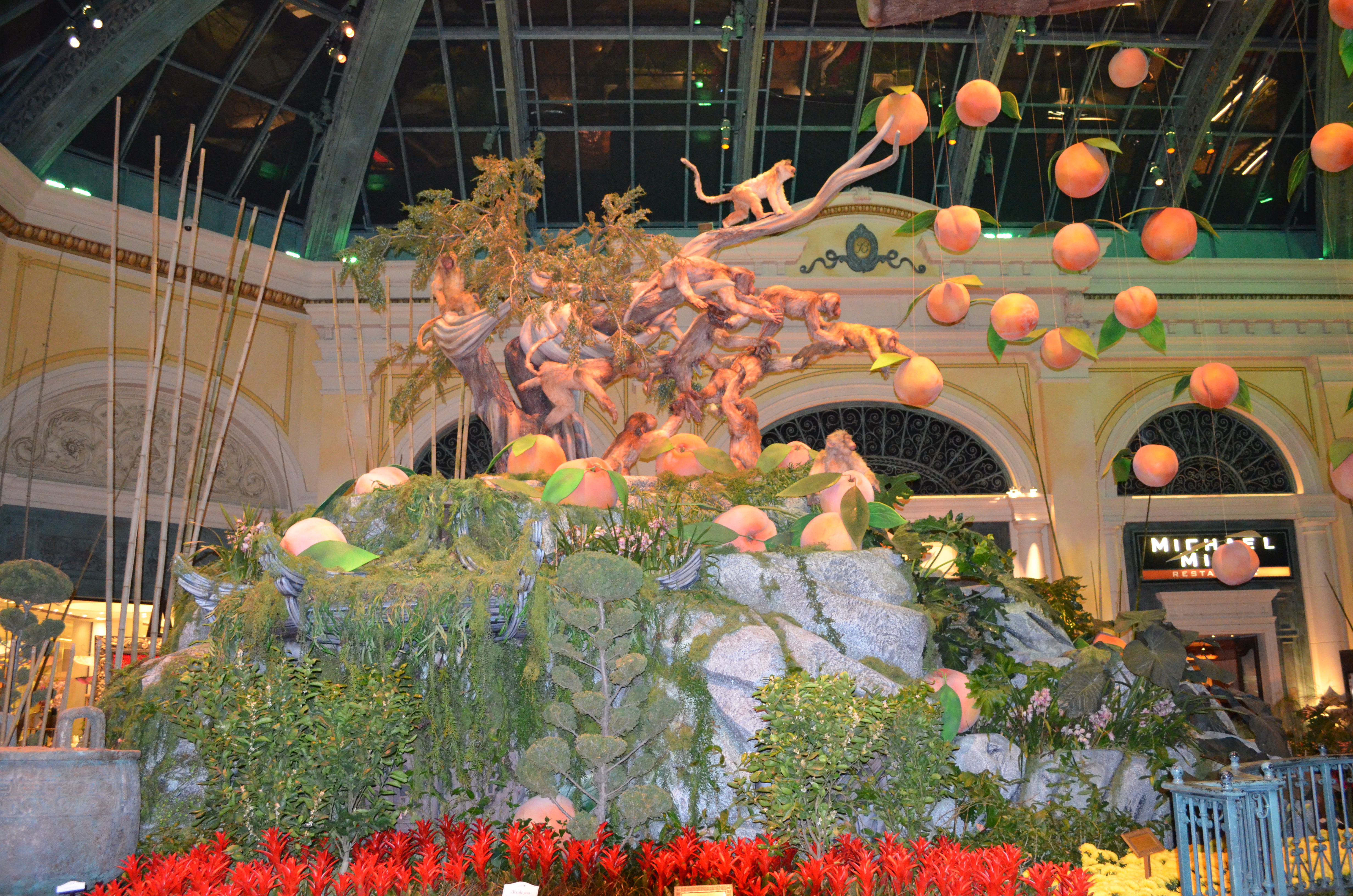 ./2016/04 - Las Vegas/Miscellaneous/DSC_0067.JPG